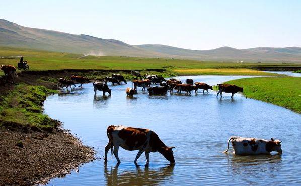 探寻内蒙古,自然风光与民族文化的魅力之旅