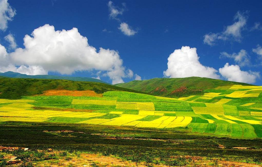 青海，生态宝库中的民族文化瑰宝