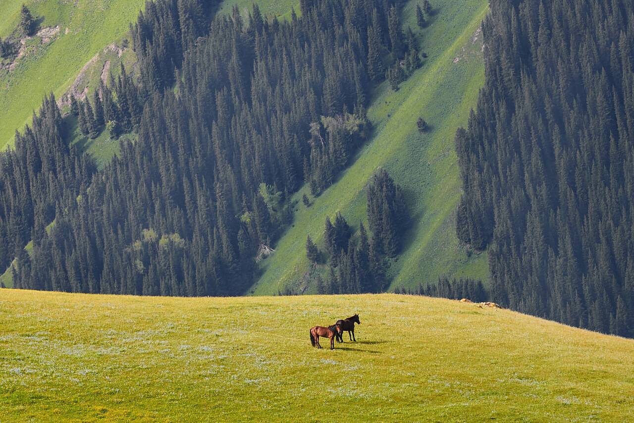 梦想疆域，新疆自信舞台